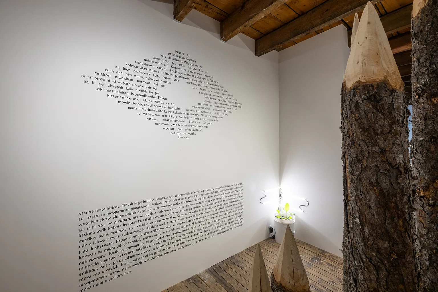 Alexis Gros-Louis, Aboriginal contemporary art, land claims, Aboriginal activism
