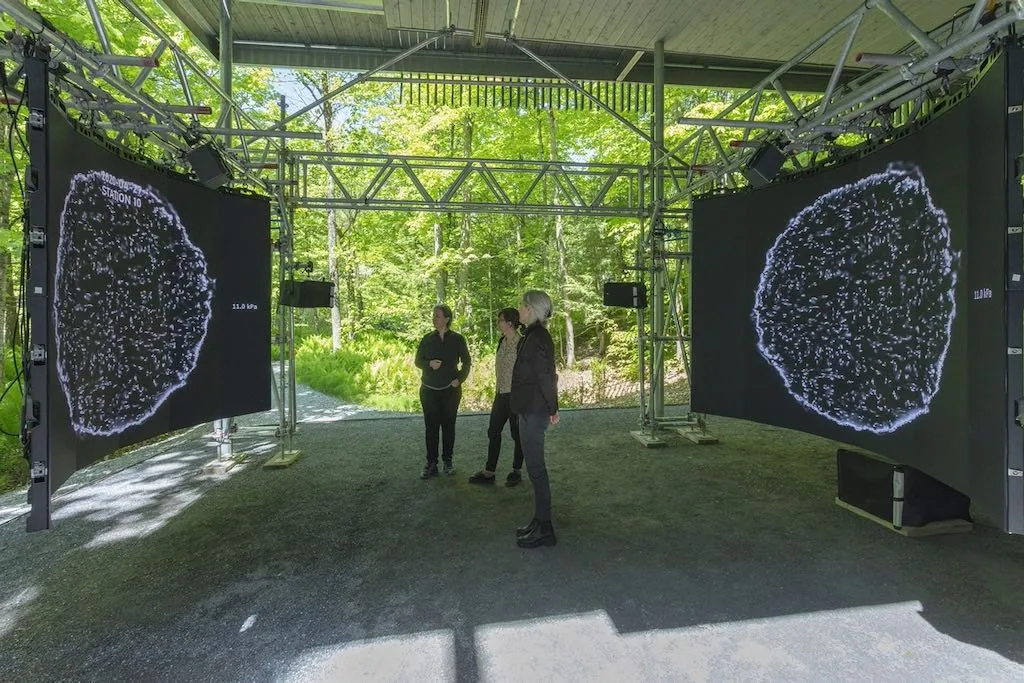 Ælab, Gisèle Trudel, Stéphane Claude, Resilience, Trees, Climate change, Science, Creative research
