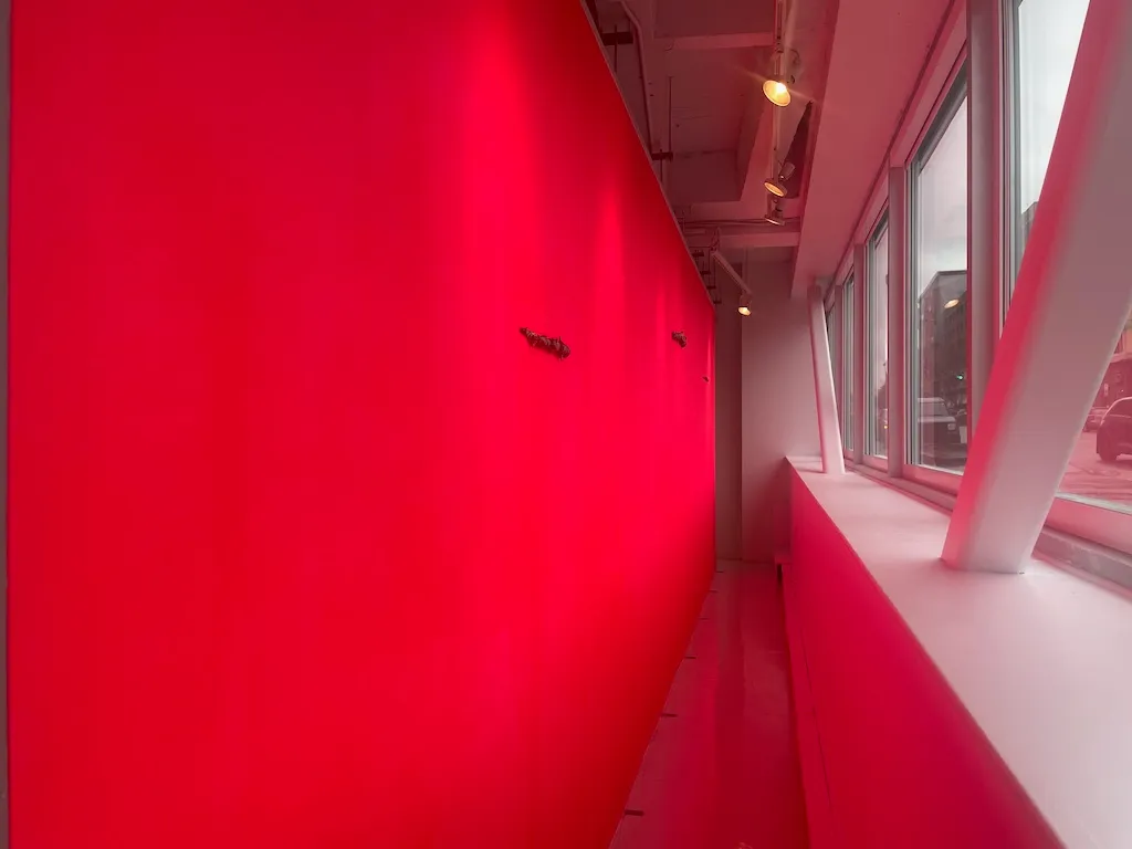 Magali Hébert Huot, Trame-Hatch, 2024. Installation Galerie des arts visuels, Université Laval