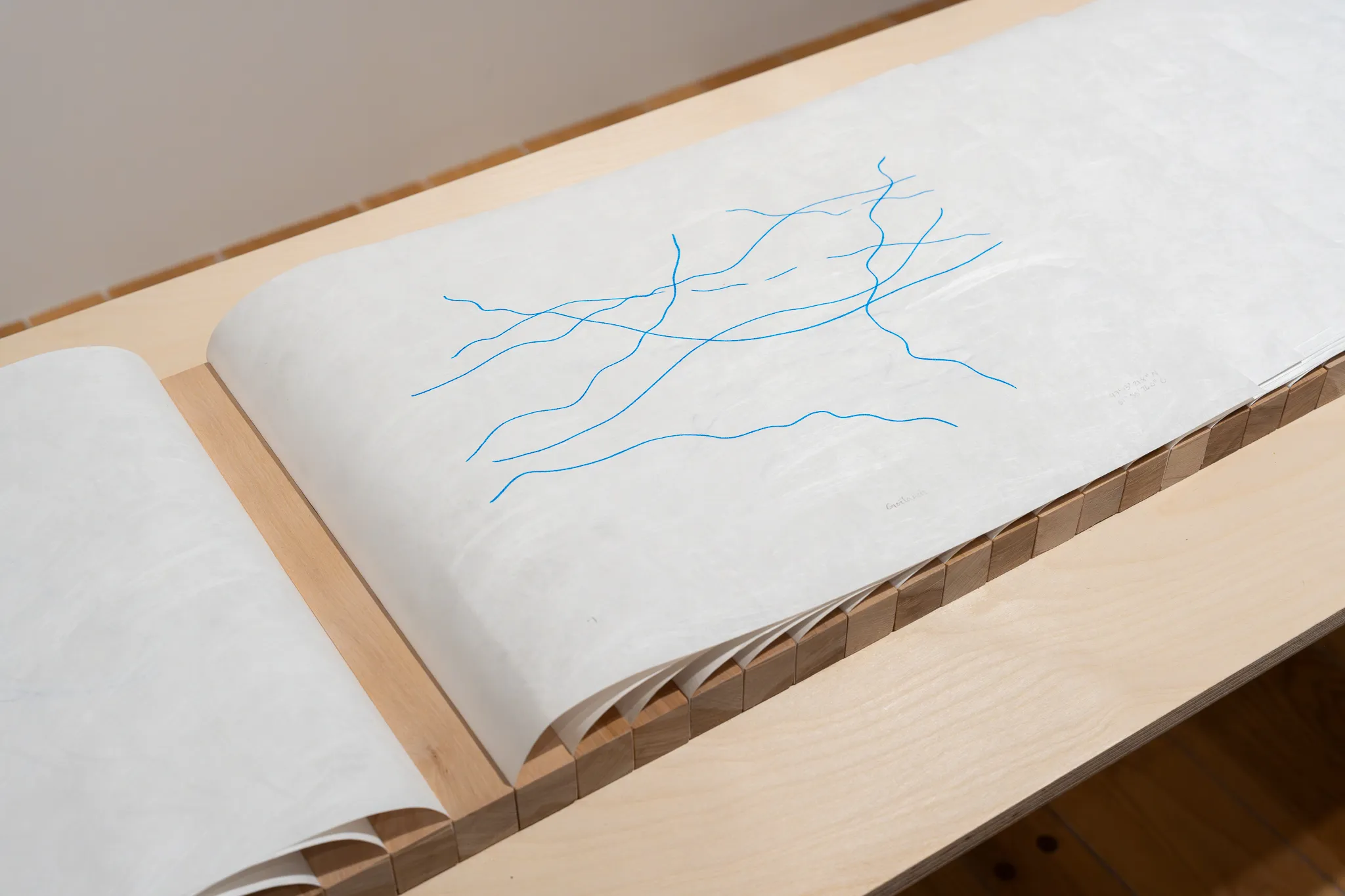 Éloïse Plamondon-Pagé, Trajectoires insulaires, 2026. Dessins à l’encre de chine reproduits à la main sur feuille de polyéthylène, contreplaqué russe, merisier. (détail)