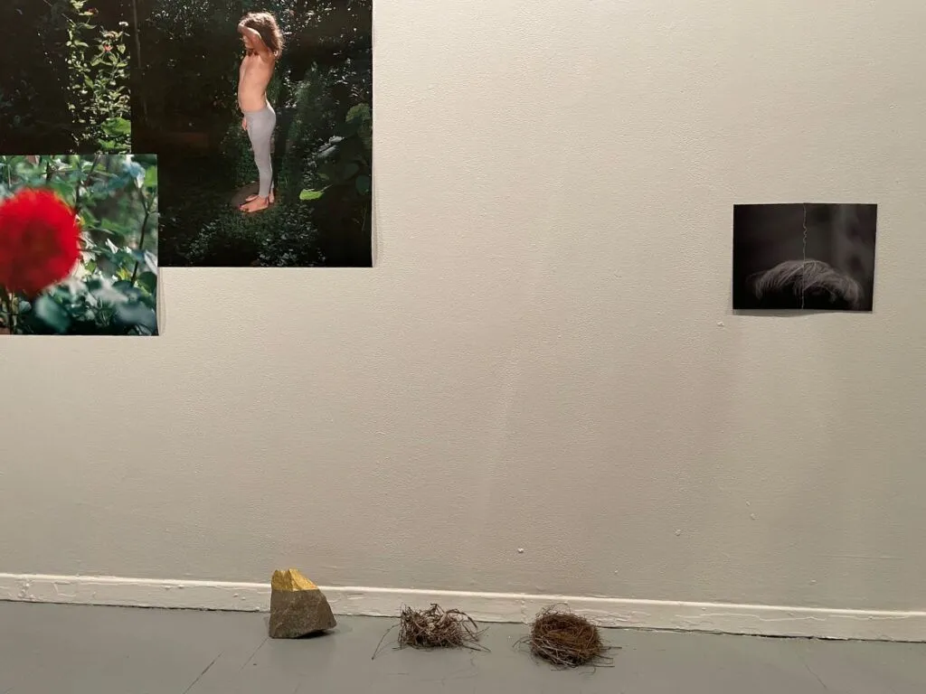 Anne-Marie Proulx, Collaboration, Vivant, Écologie