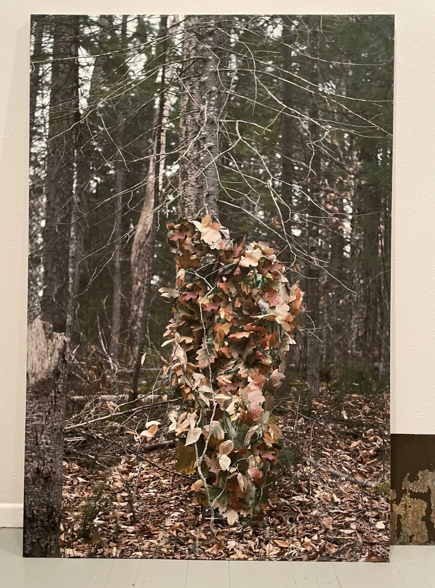 Anne-Marie Proulx, Collaboration, Living, Ecology, Holistic