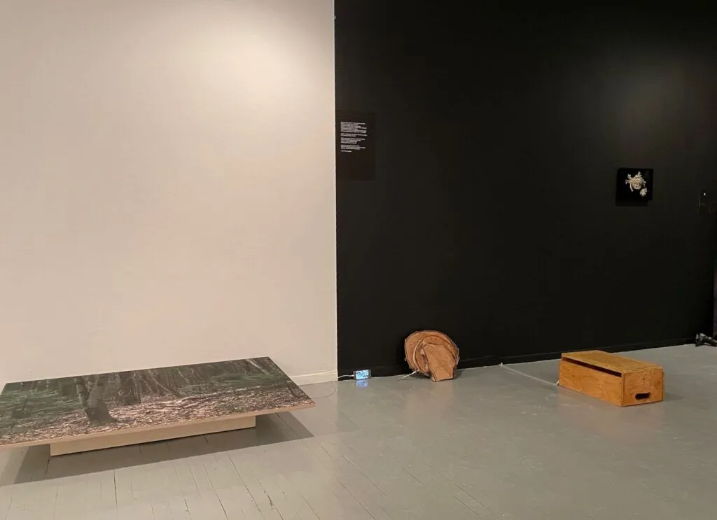 Anne-Marie Proulx, Collaboration, Vivant, Écologie, Holistique
