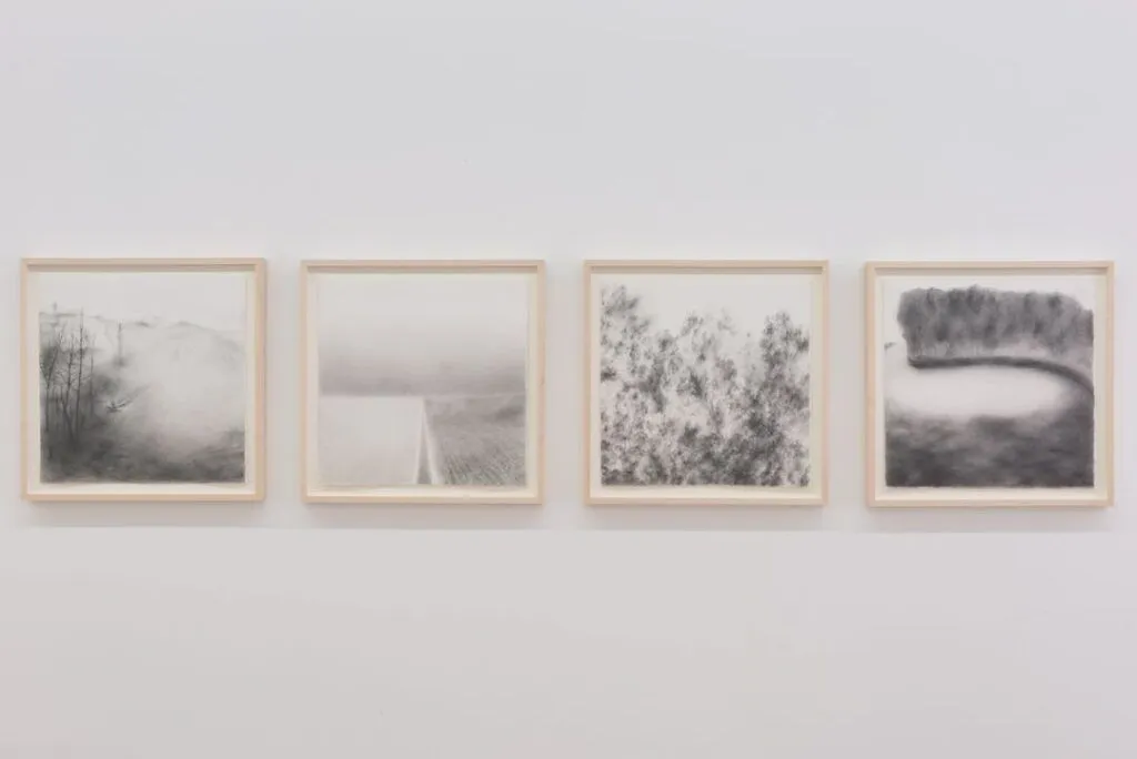 Andréanne Godin, Territoire, Paysage, Forêt, Souvenir