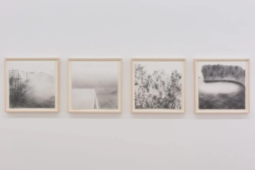 Andréanne Godin, Territory, Landscape, Forest, Remembrance