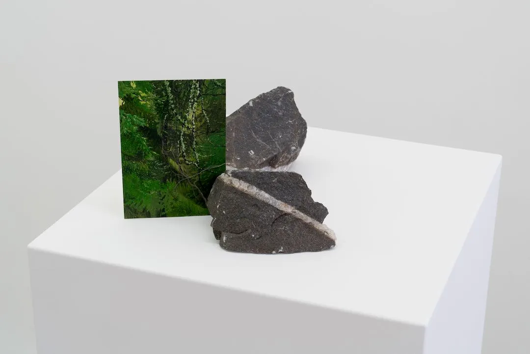 Andréanne Godin, Territory, Landscape, Forest, Remembrance