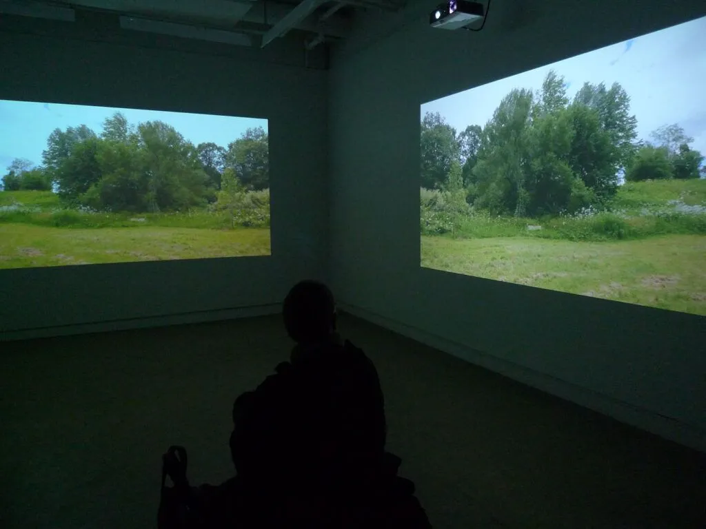 Anne Ramsden, Musée, Collection, Arboretum, Nature, Écologie, Environnement