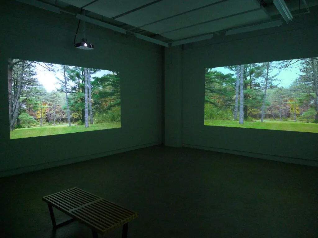 Anne Ramsden, Musée, Collection, Arboretum, Nature, Écologie, Environnement