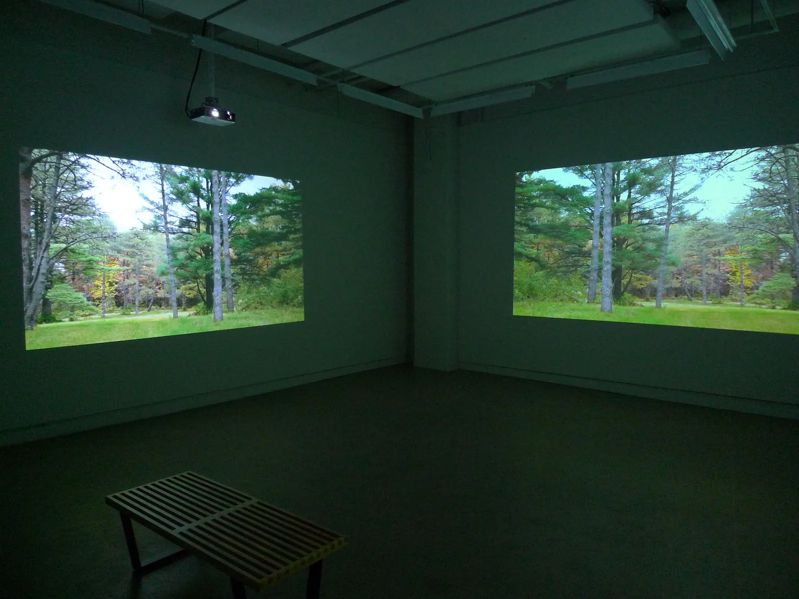 Anne Ramsden, Museum, Collection, Arboretum, Nature, Ecology, Environment
