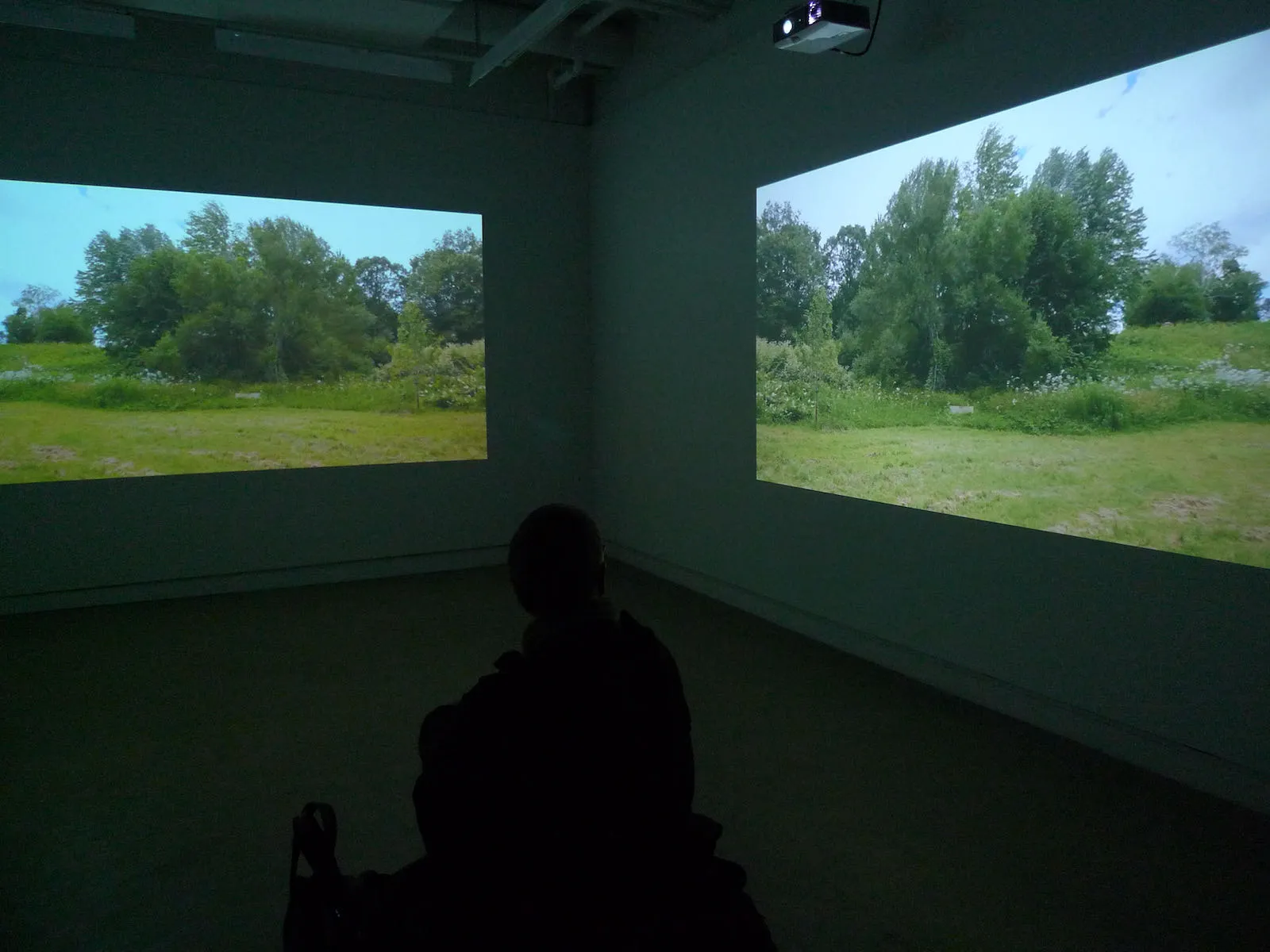 Anne Ramsden, Museum, Collection, Arboretum, Nature, Ecology, Environment