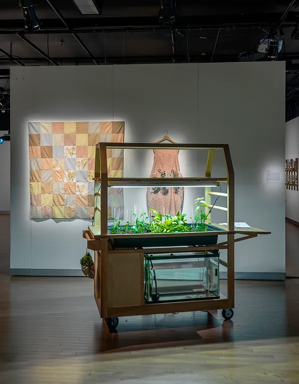 Sophie Aubry, aquaponics, urban agriculture, citizen workshops, medicinal and dye plants