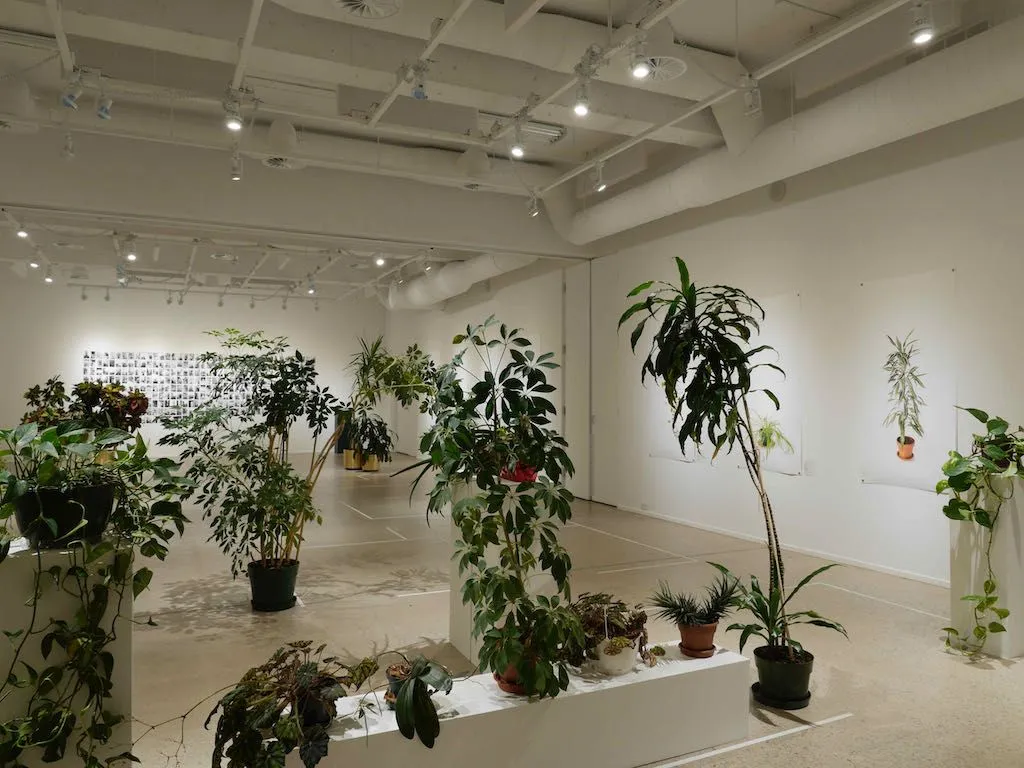 Le département des plantes de bureau de Catherine Lescarbeau : Un bio inc. disruptif