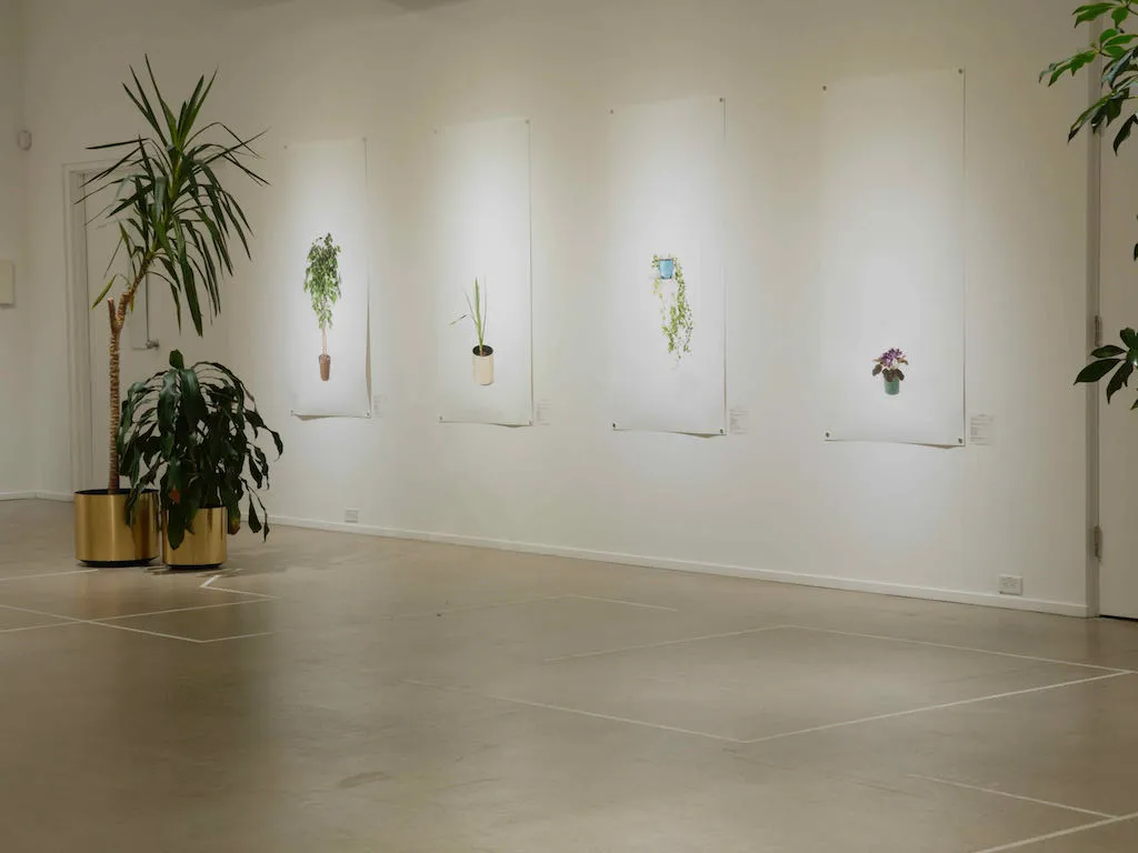 Catherine Lescarbeau, Plants, Botany, Herbarium, Horticulture, Company, Trade