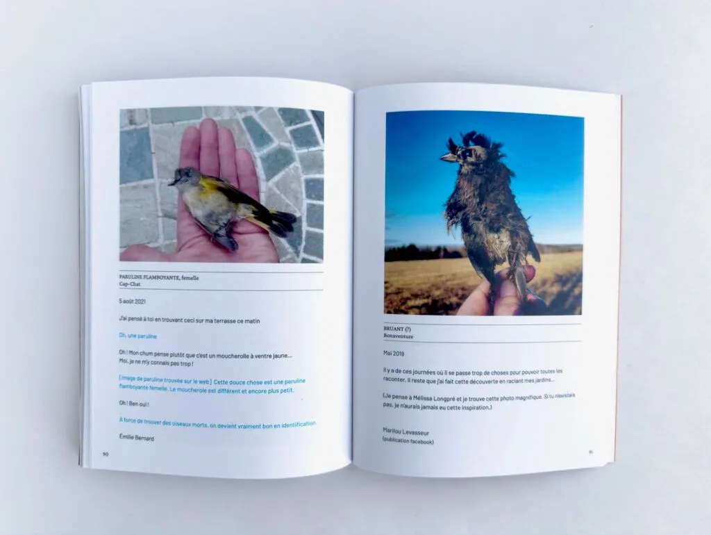 Mélissa Longpré, oiseaux, deuil, écologie