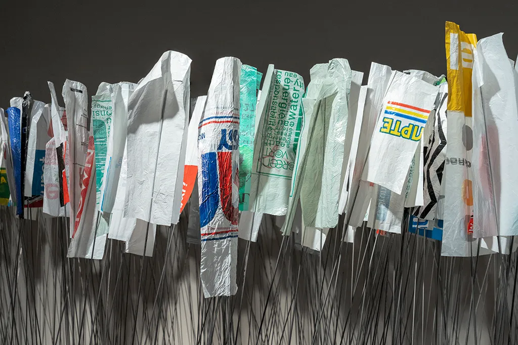 Ludovic Boney, desire lines, weeds, consumption, overpackaging