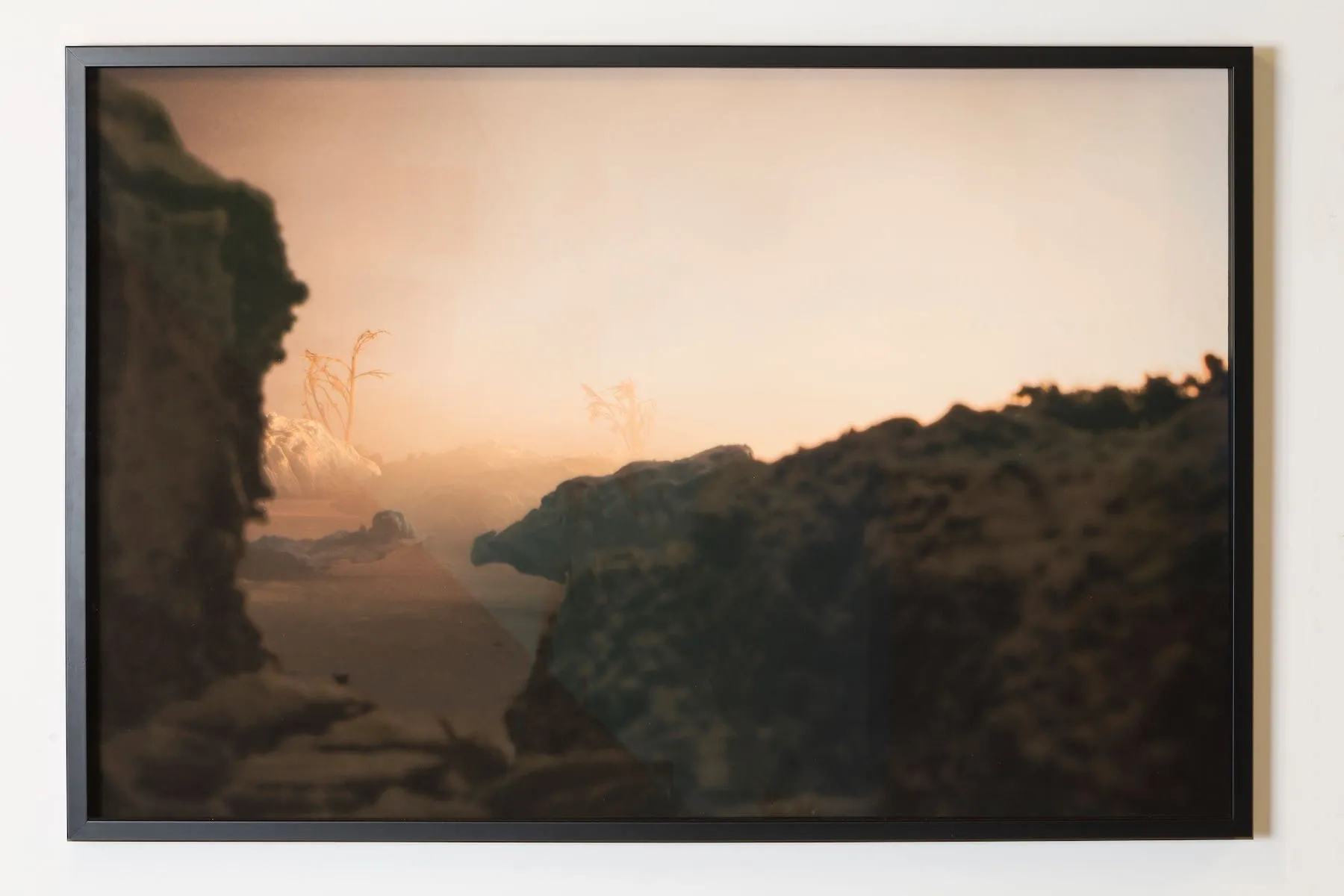 Catherine Plaisance, climate change, natural disasters, dystopia