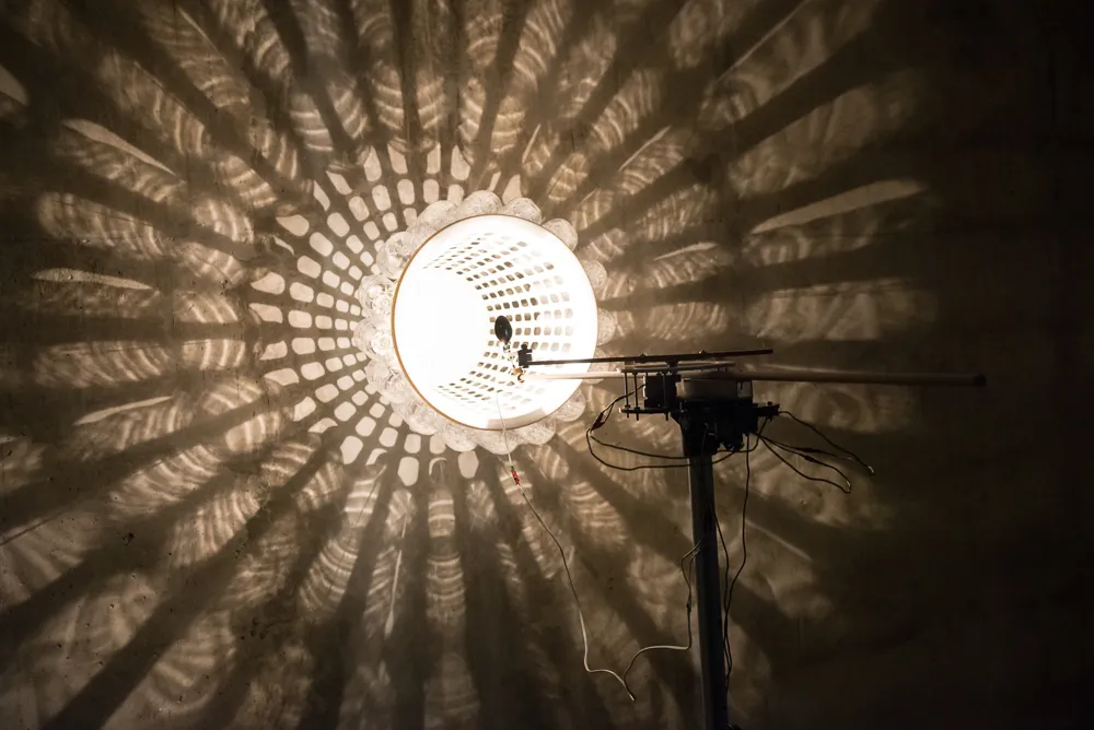 Diane Landry, Light, Movement, Ecology, Water