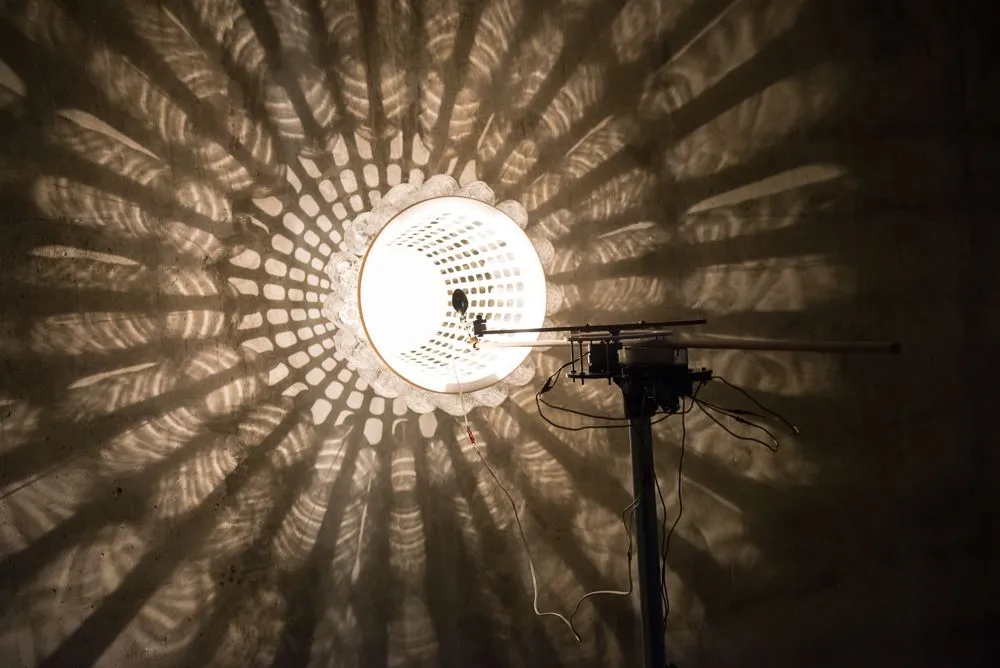 Diane Landry, Lumière, Mouvement, Écologie, Eau