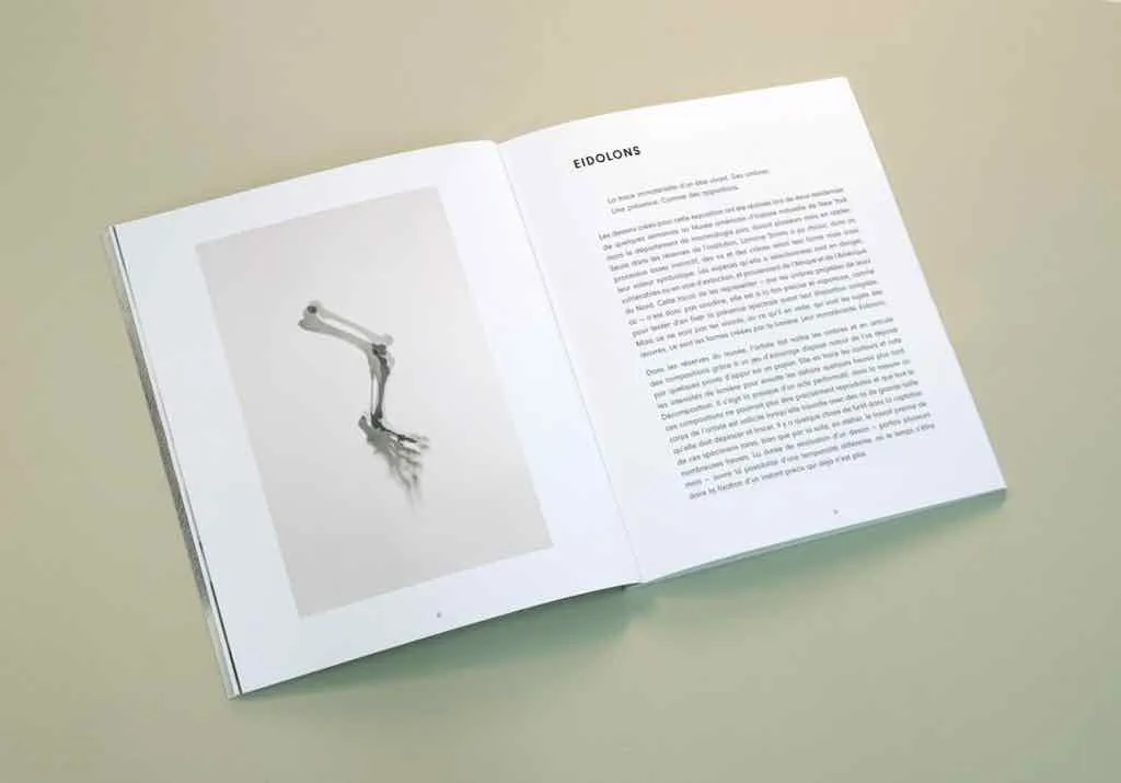 Lorraine Simms, Living, Mammals, Museology