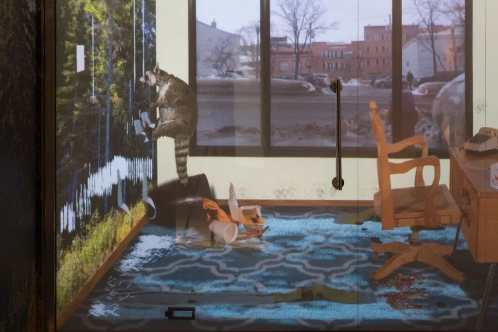 Graeme Patterson, Mois Multi, Animaux, Comportement animal, Technologie, Jeux video, Dispositif muséal