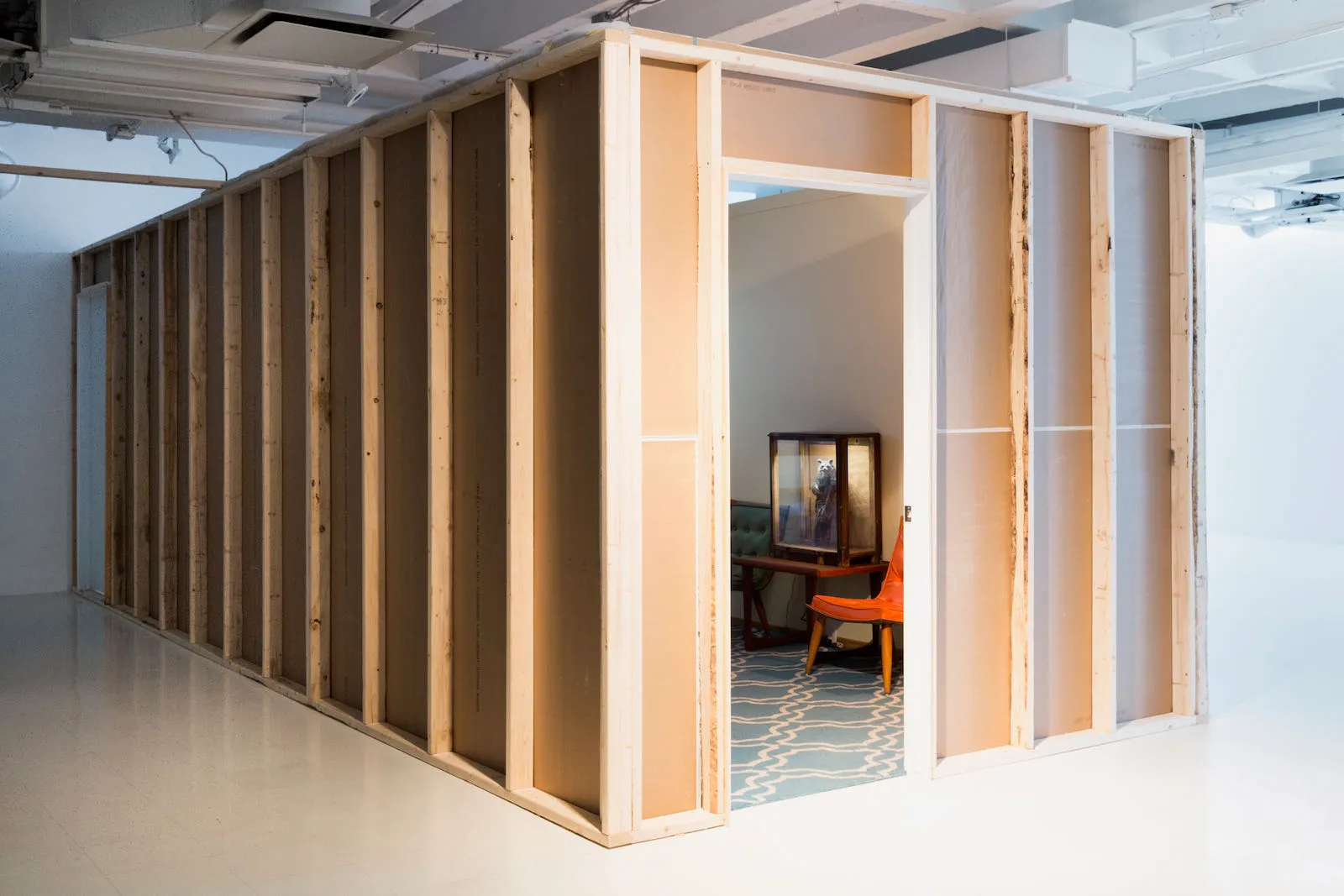 Graeme Patterson, Mois Multi, Animals, Animal behavior, Technology, Video games, Museum display