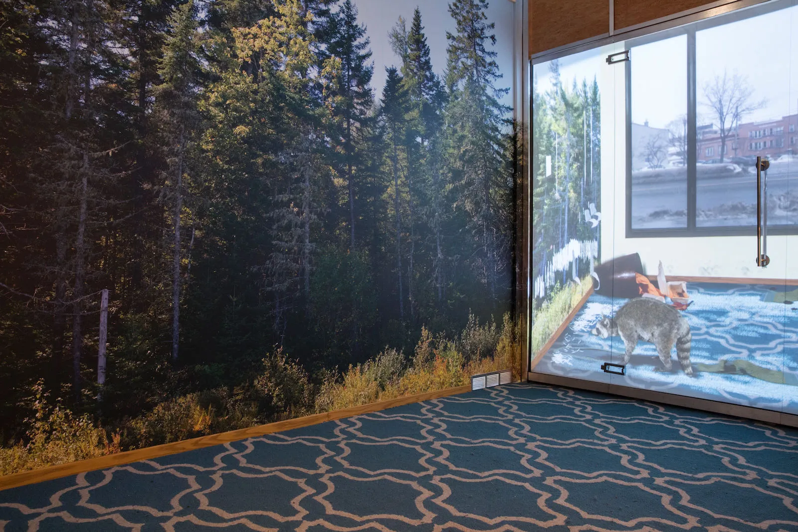 Graeme Patterson, Mois Multi, Animals, Animal behavior, Technology, Video games, Museum display