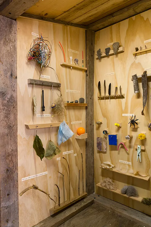 Richard Ibghy, Marilou Lemmens, library, tool shed, tools, animal mimicry, culture, nature