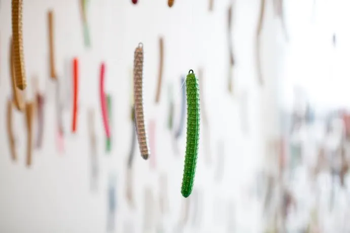 Ludovic Boney, Art contemporain autochtone, Consommation, Territoire, Habitat, Nature
