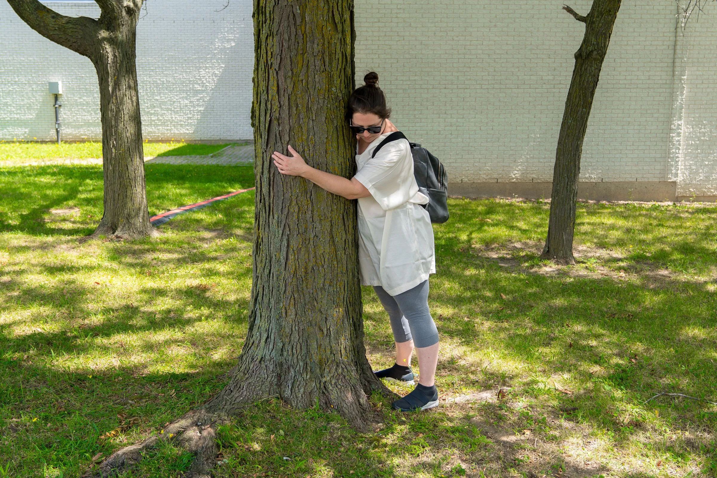 Scenocosme, sound installation, tree, tree power