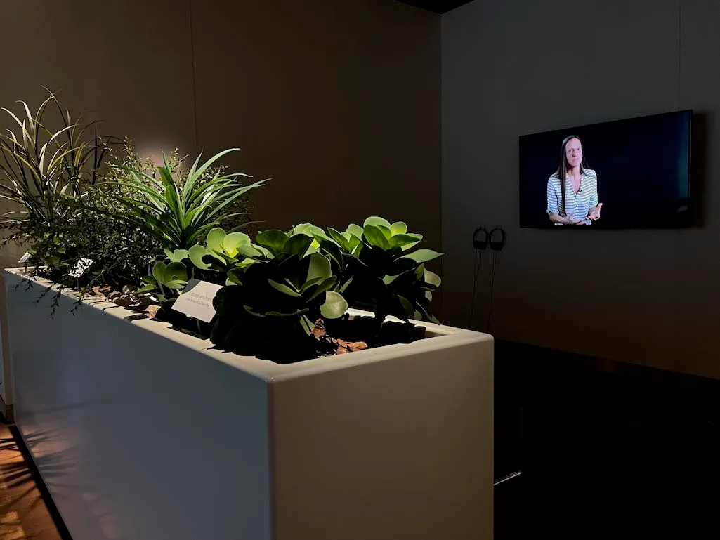 Catherine Lescarbeau, botanique, plantes ornementales, banlieue, centre d'achat, critique institutionnelle