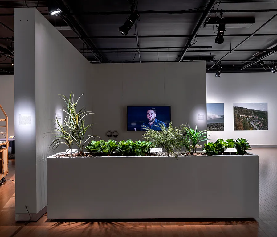 Catherine Lescarbeau, botany, ornamental plants, suburbia, shopping center, institutional critique