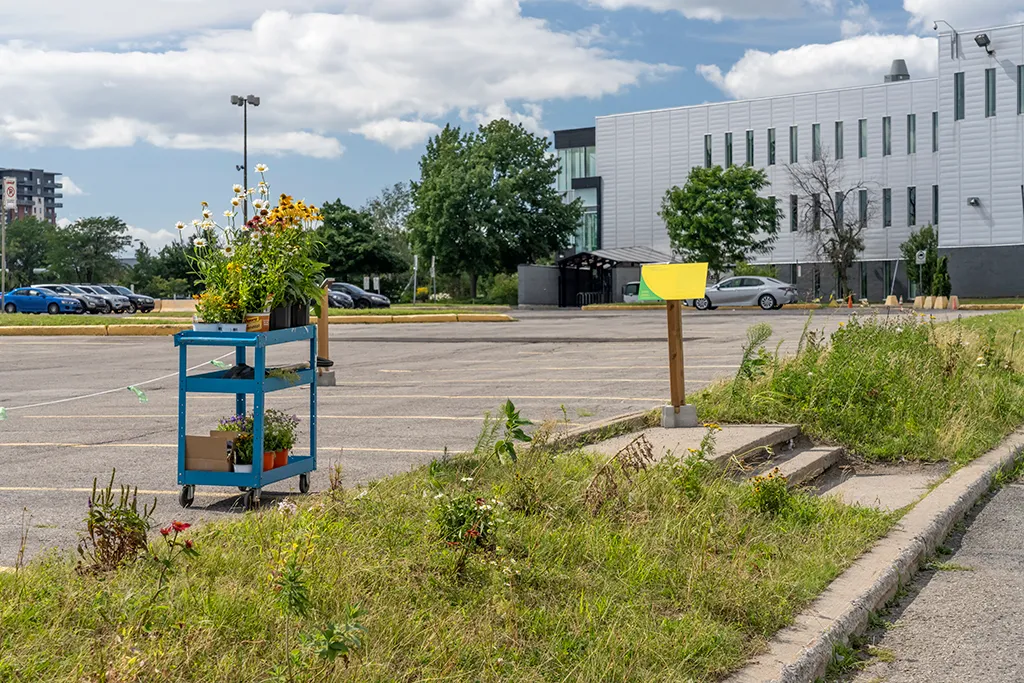 Deborah Margo, Third Landscape, wasteland, garden, feralization, horticulture, citizen participation