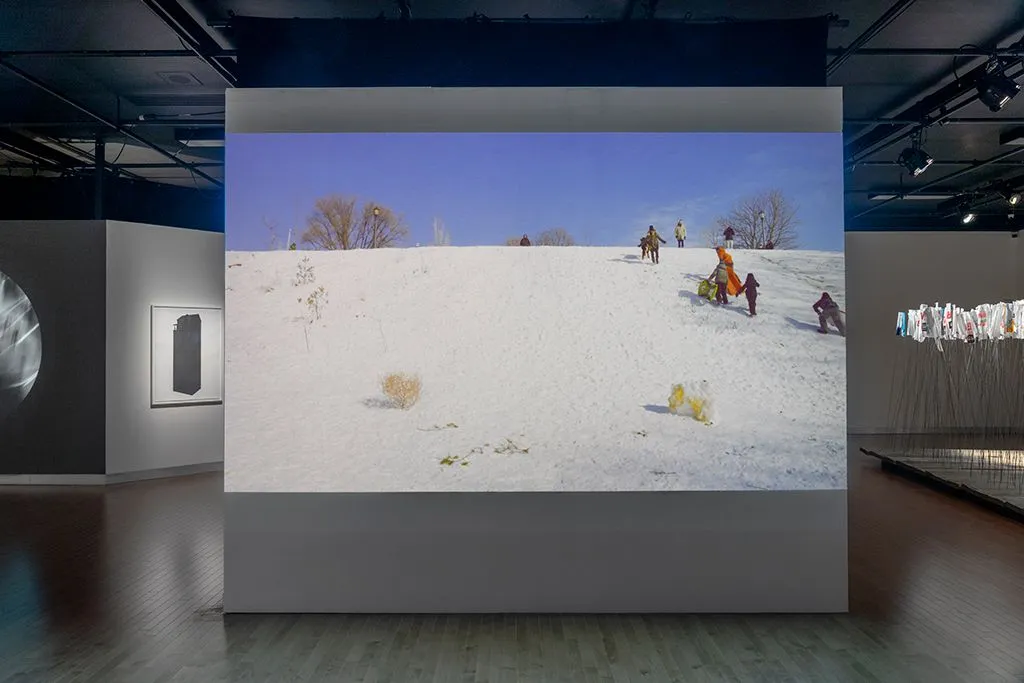 Louise Noguchi, banlieue, mythe de la frontière, immigration, plantes adventices