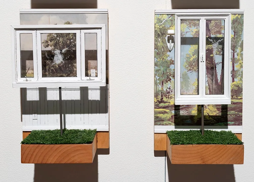 Graeme Patterson, banlieue, architecture domestique, pittoresque, oiseaux, mortalité aviaire