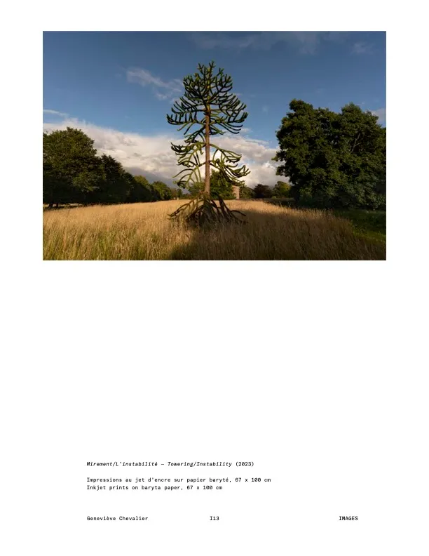Geneviève Chevalier, Theory, Ecology, Museology, Economics, Living things
