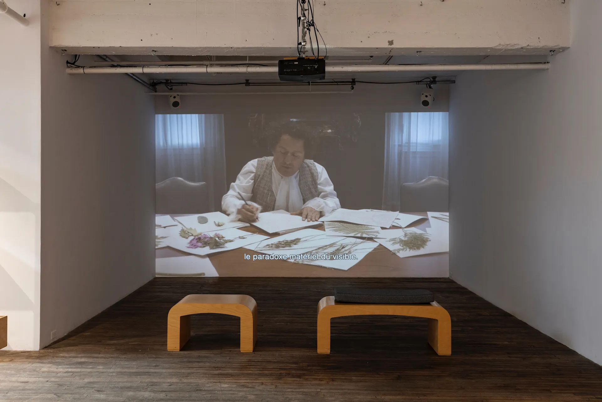Fabiano Kueva, Humboldt Archives, Colonialism, Exploration, America
