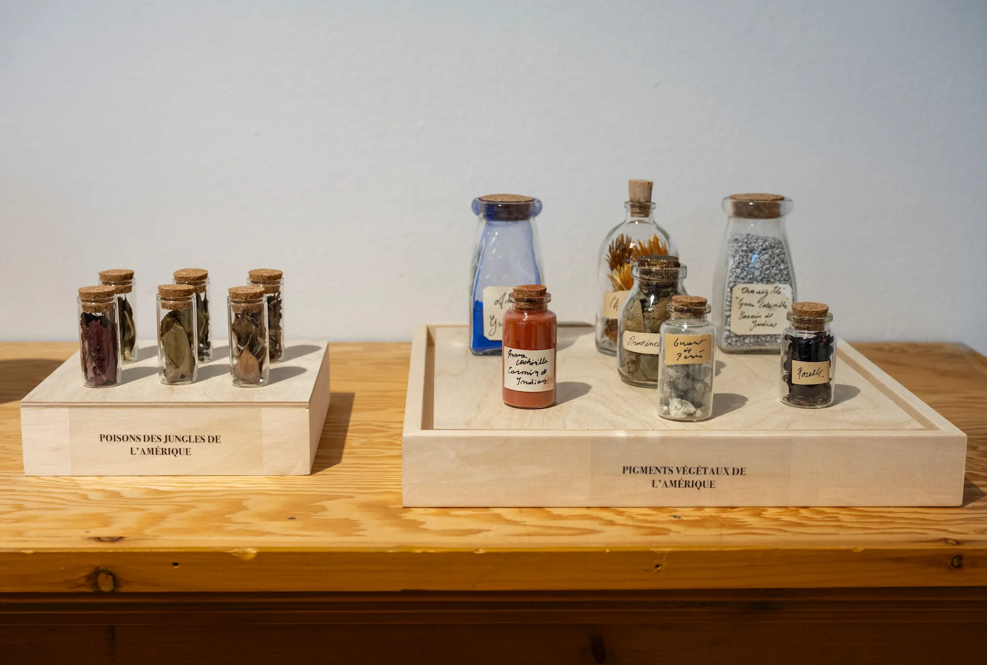 Fabiano Kueva, Humboldt Archives, Colonialism, Exploration, America