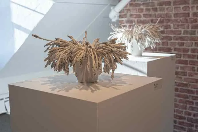 Amélie Proulx, Céramique, Porcelaine, Allégorie, Plantes, Matière, Nature