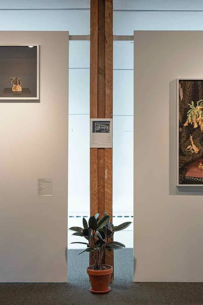 Catherine Lescarbeau, Plantes, Botanique, Herbier, Horticulture, Compagnie, Commerce