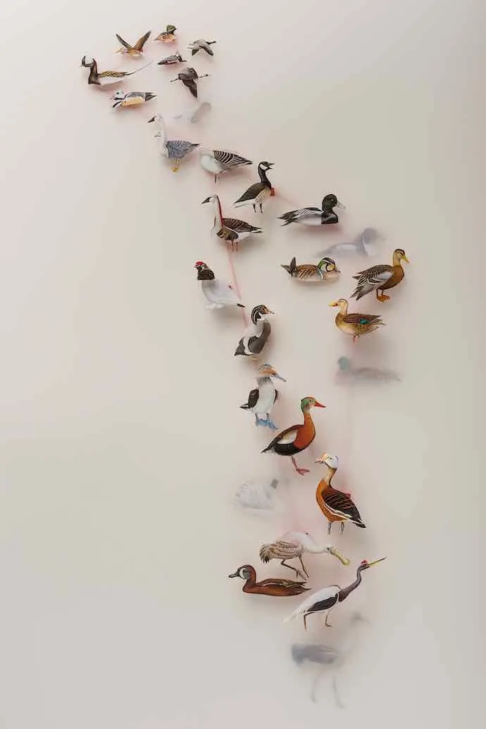 Geneviève Chevalier, Oiseaux, Migration, Changements climatiques