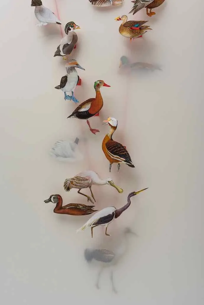 Geneviève Chevalier, Oiseaux, Migration, Changements climatiques