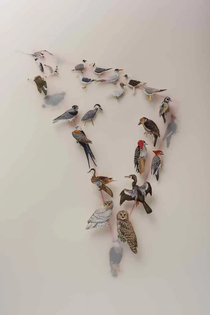 Geneviève Chevalier, Oiseaux, Migration, Changements climatiques