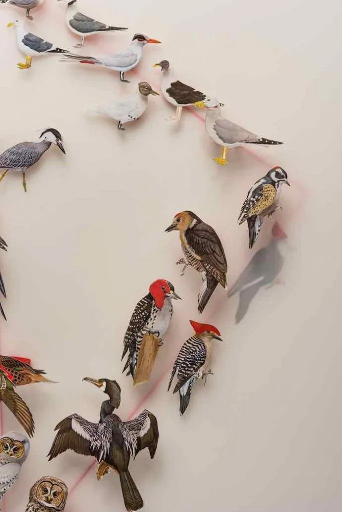 Geneviève Chevalier, Oiseaux, Migration, Changements climatiques