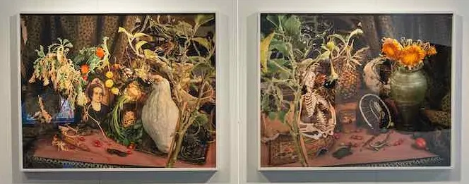 Chromogenic Curmudgeons, Evergon, Jean-Jacques Ringuette, Vanité, Allégorie, Plantes