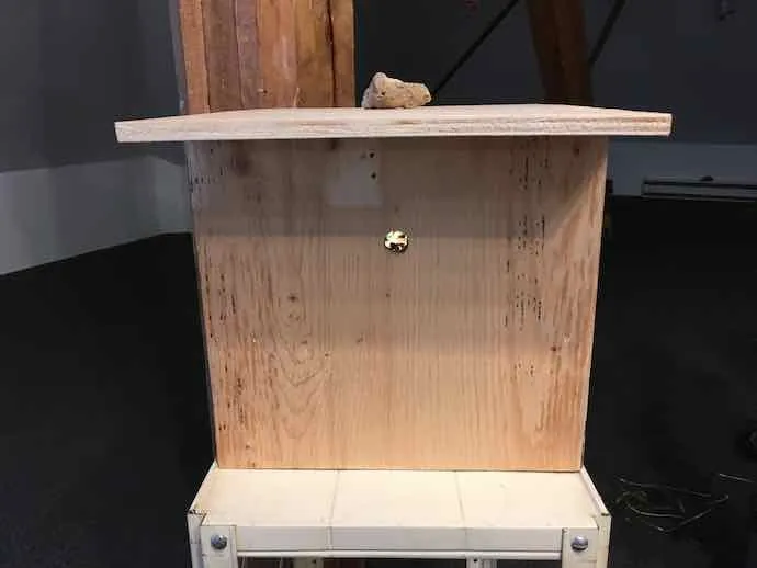 Émile Payeur, Souvenirs d’enfance, Dispositifs ludiques, Art sonore, Technologie, Plantes