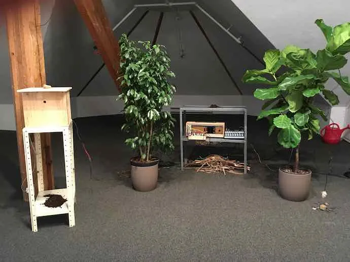 Émile Payeur, Souvenirs d’enfance, Dispositifs ludiques, Art sonore, Technologie, Plantes