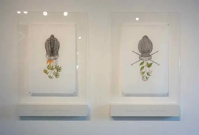 Joscelyn Gardner, Plantes, Botanique, Herbier, Colonialisme, Commerce triangulaire, Antille, Esclavage