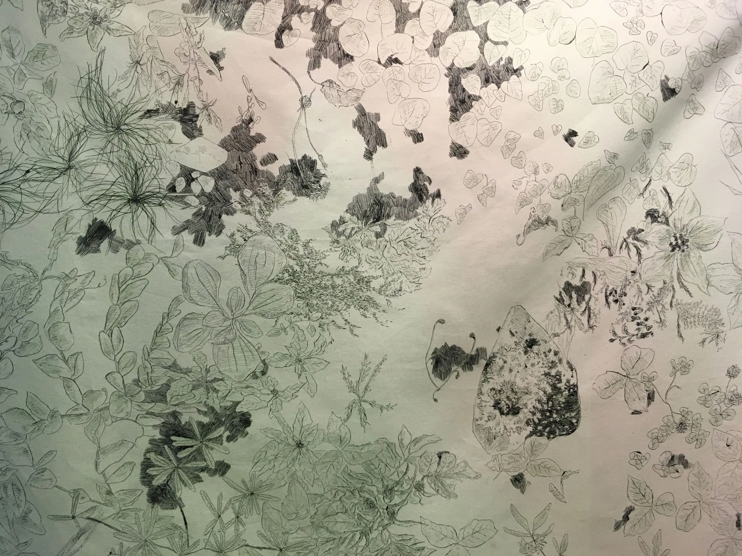 Karine Locatelli, landscape, pleinairism, biodiversity