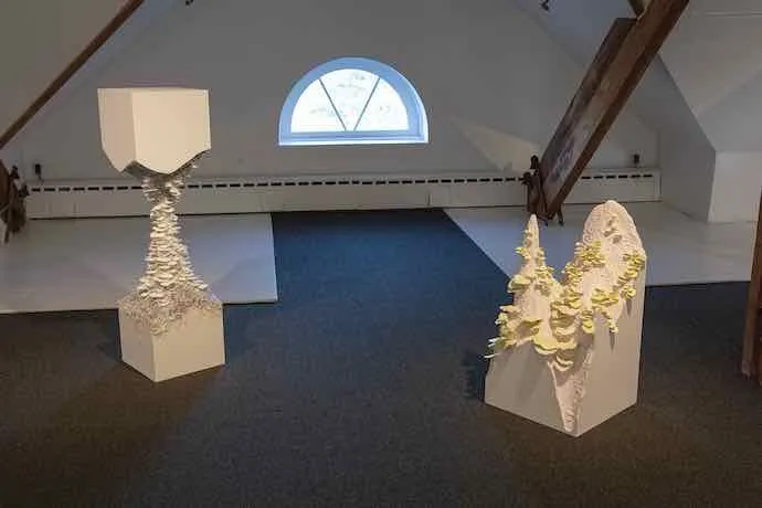 Marie-Ève Martel, Champignons, Fungi, Hétérotrophie, Vivant, Structure