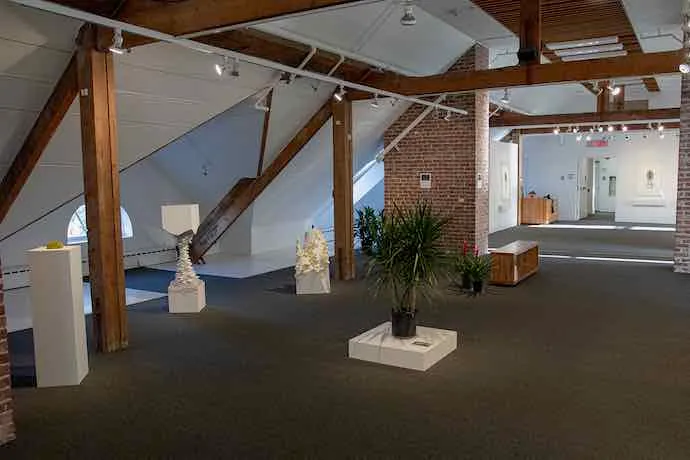 Plants, Botany, Nature, Vanity, Technology, Contemporary Art